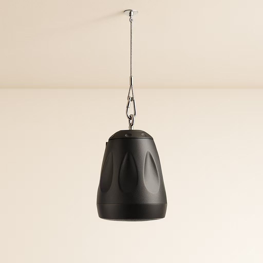 微信图片_20250808113327_342 pendant speaker