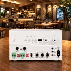 Front and rear profile view of the LECOVITA LAC2Z-80, a 2x80W Class-D commercial amplifier featuring independent dual-zone volume knobs for retail and business sound systems.